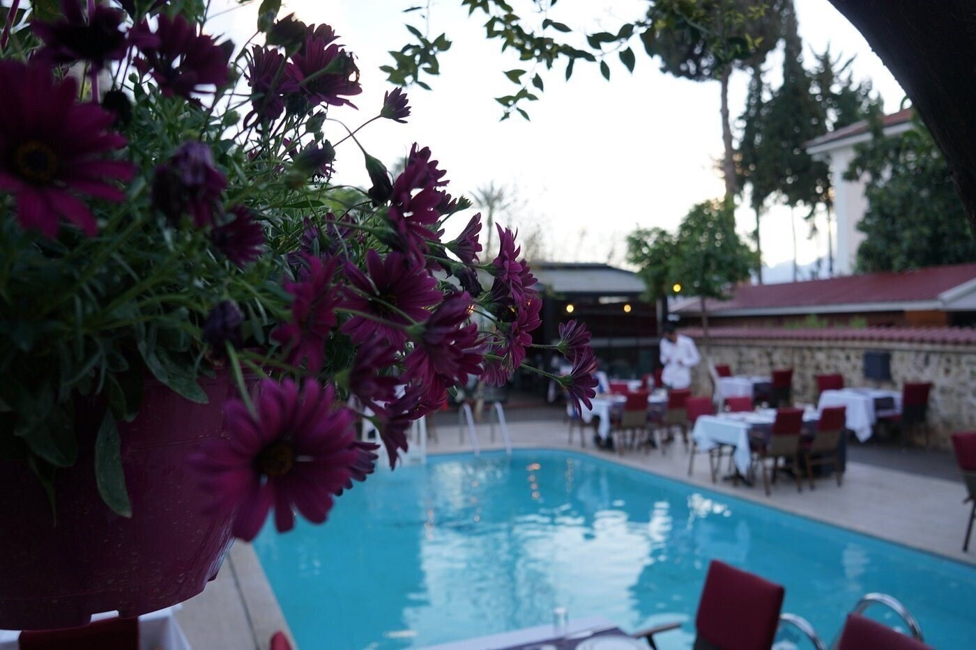 Вид Blue Sea Garden 3*